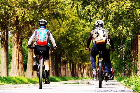 tapety vehicle, bicycle
