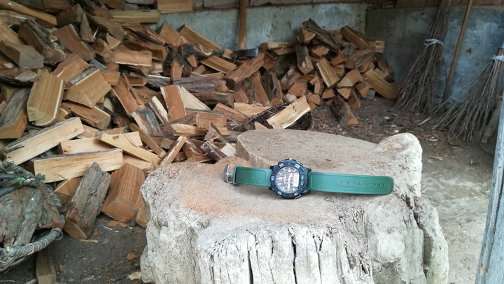 Timex expedition