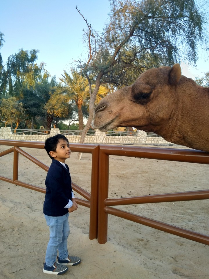 baby with camel