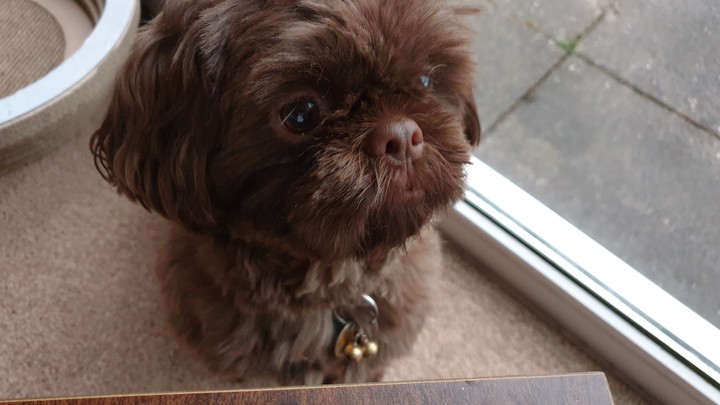 those brown eyes!!