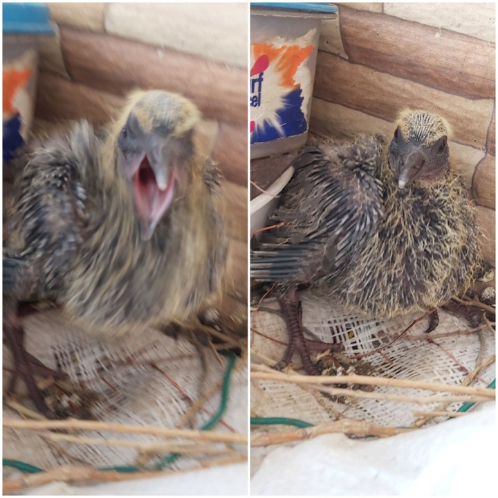 ?