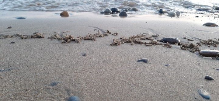 sea