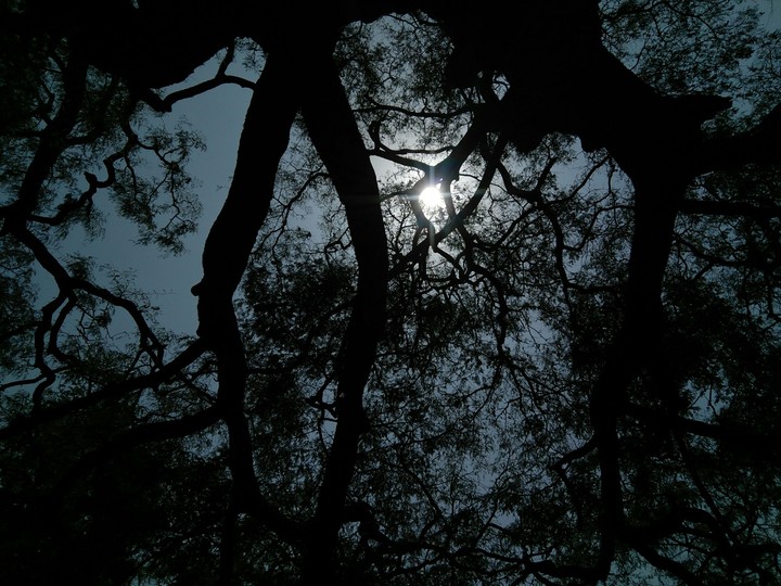 Nature