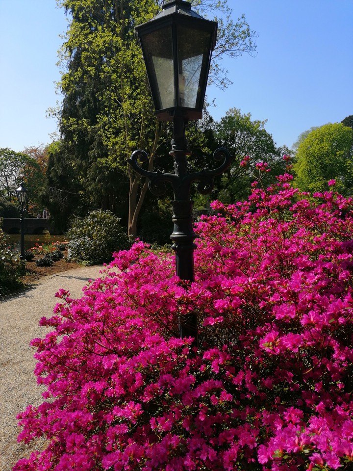beautiful colors