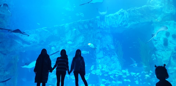 Aquarium