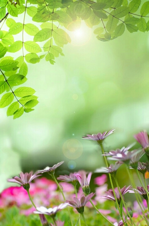 صباح الخير