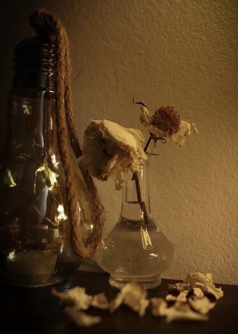 Glass, Cork wallpapers