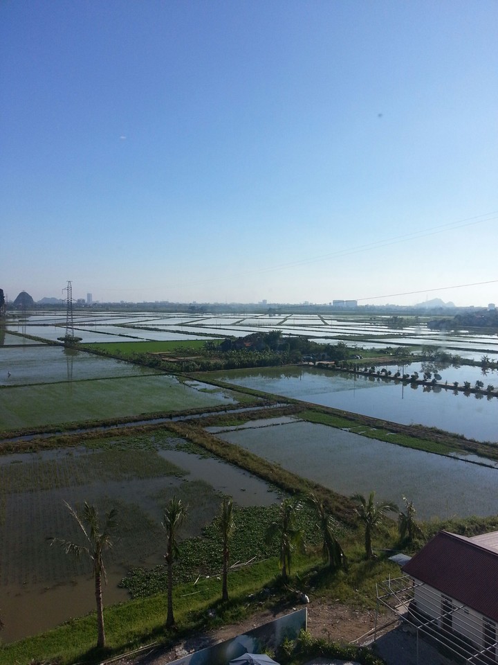 Việt Nam beauty