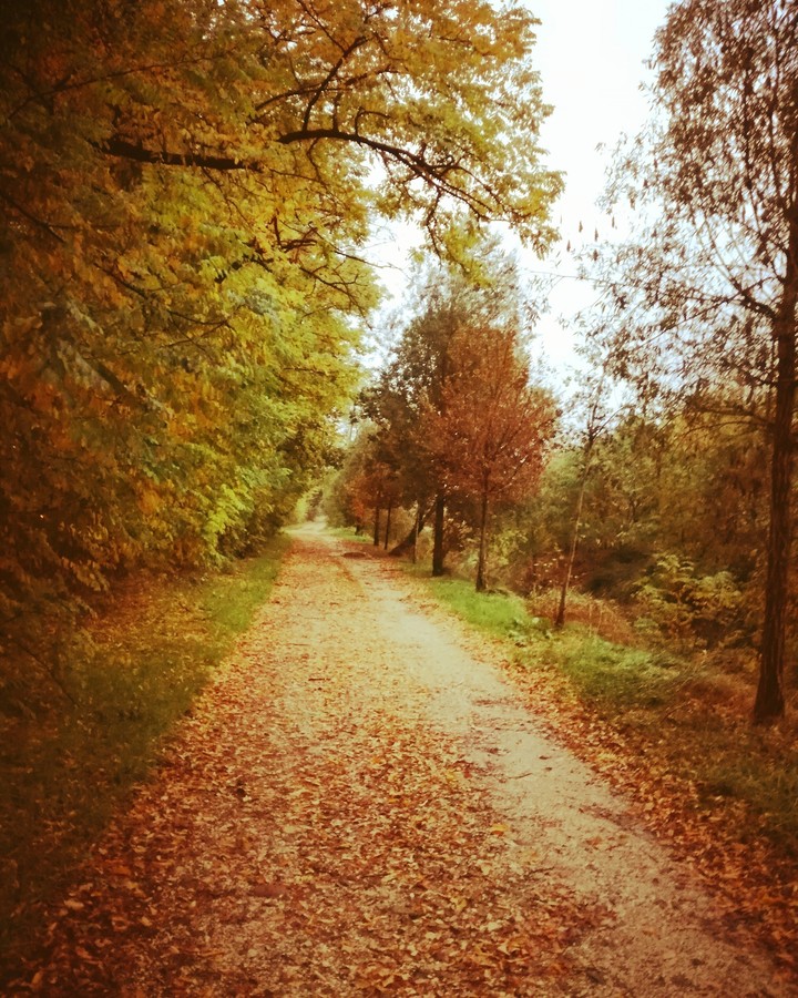 pezzo d'autunno