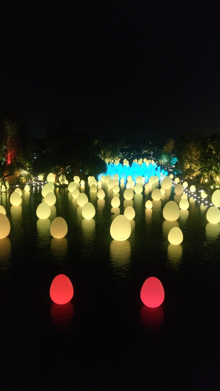 lights