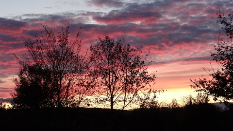 Dusk