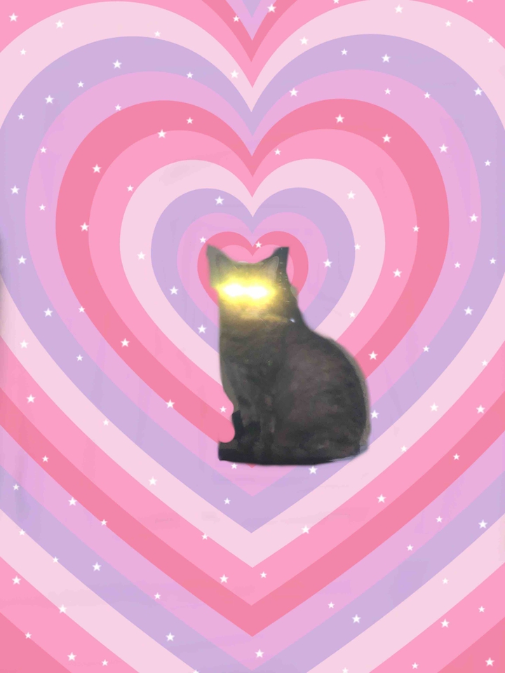 bday kitty , fortune telling kitty, evolved Latter Day Saint