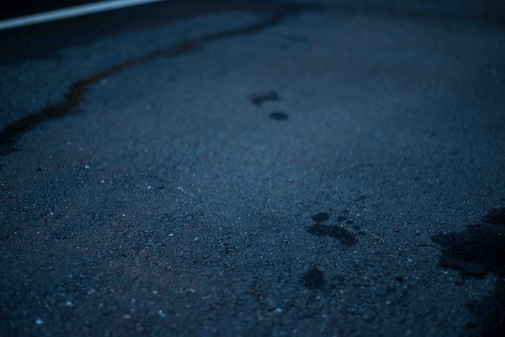 Footprints