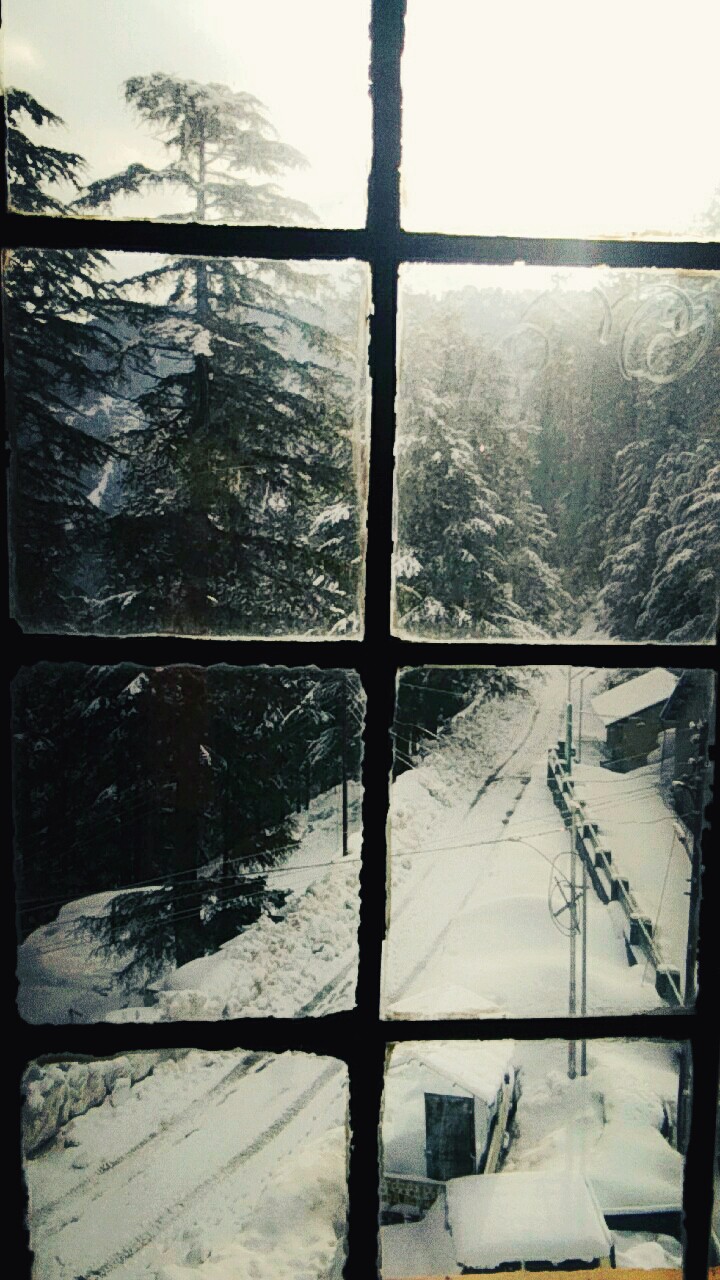 window