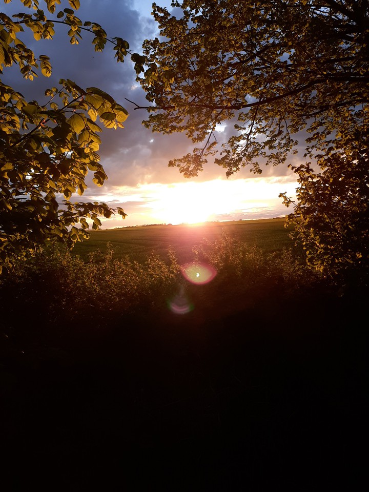 #sunset