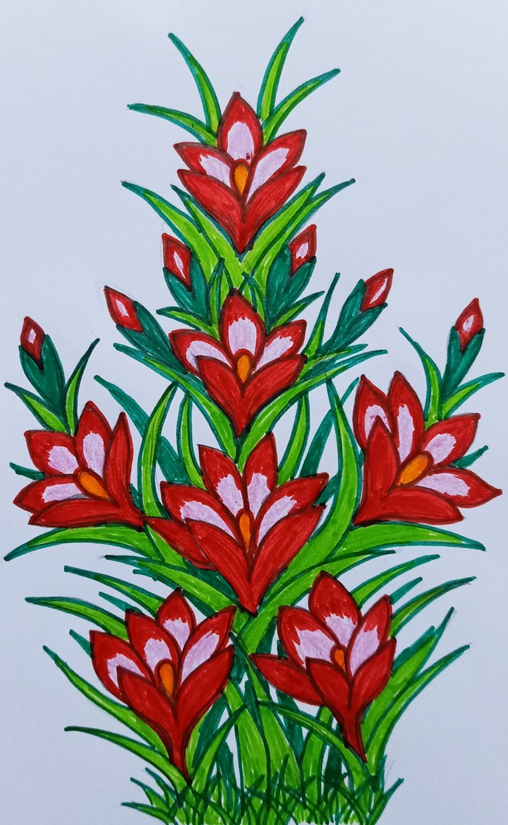 sketch