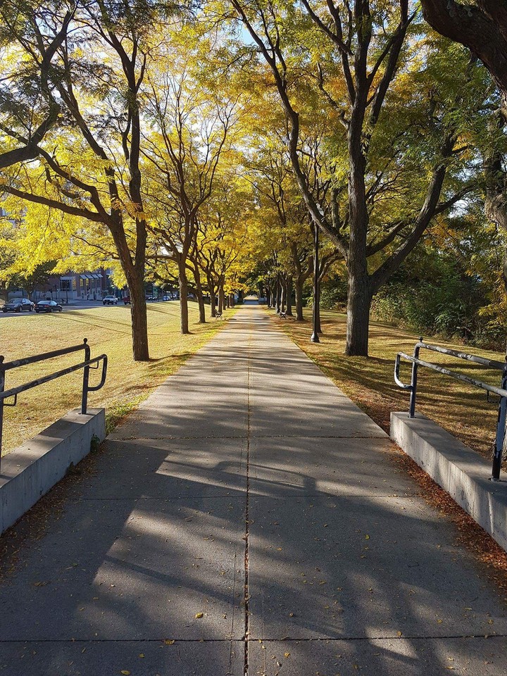 Autumn in Burlington