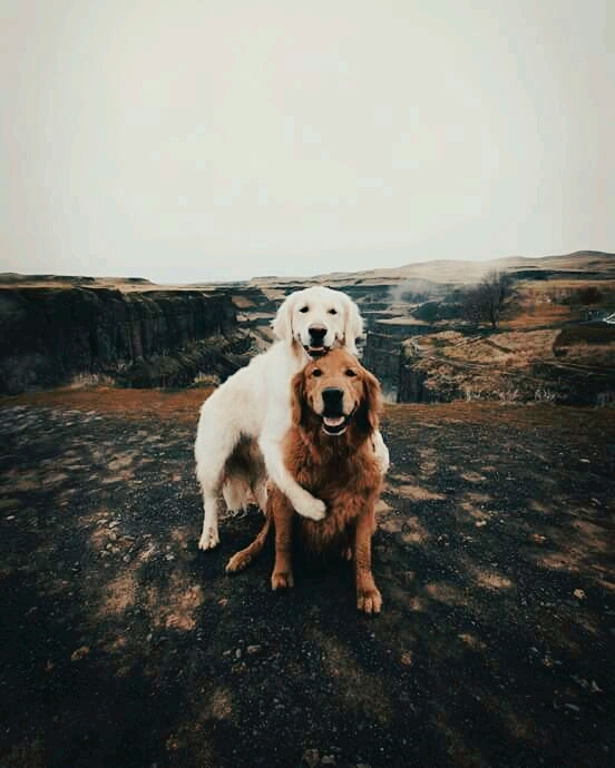:-)