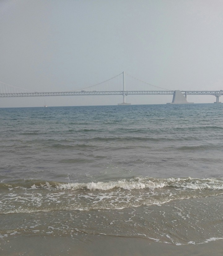 busan sea
