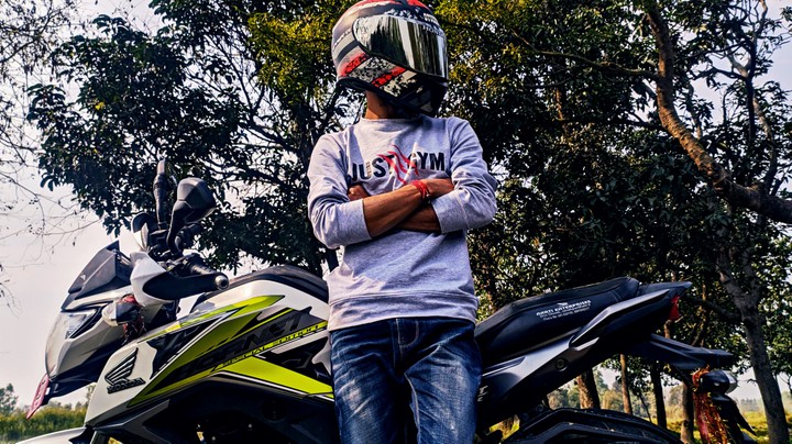 hornet lover