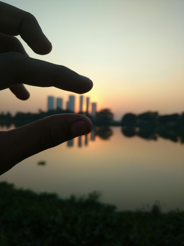 Dawn