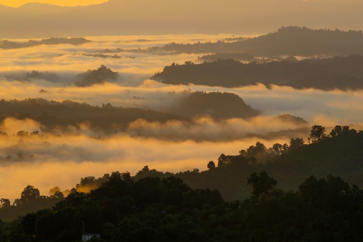 Foggy