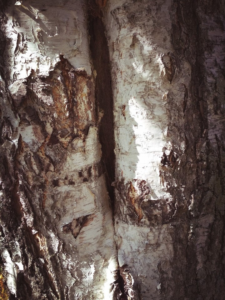 texture