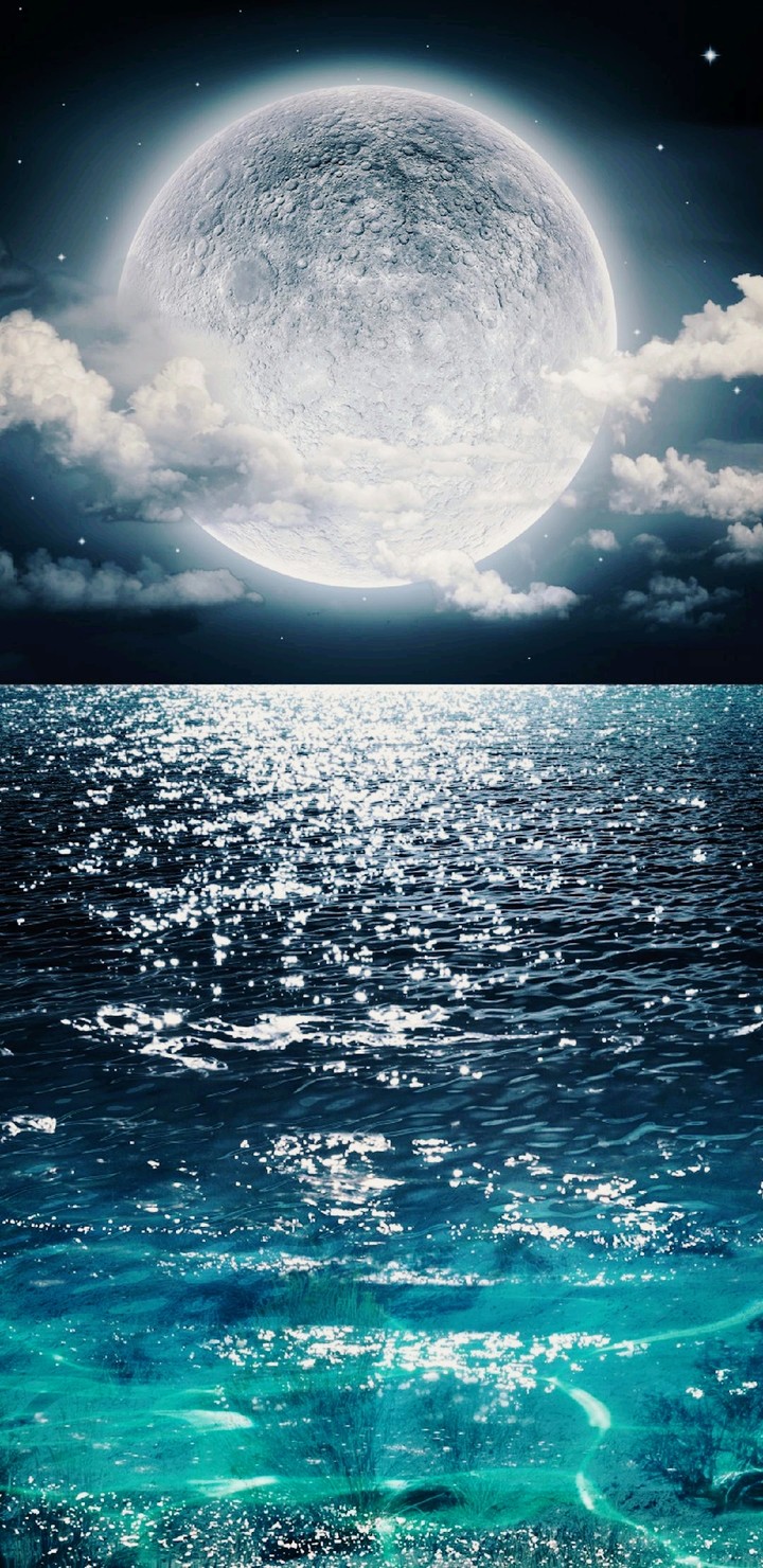 moon light