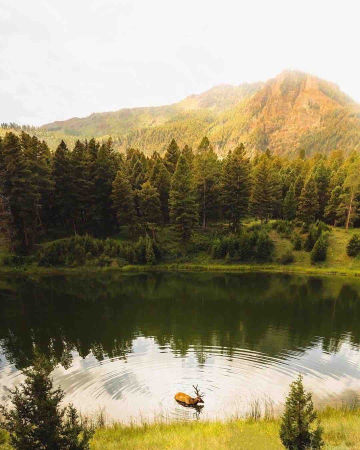 Mountain