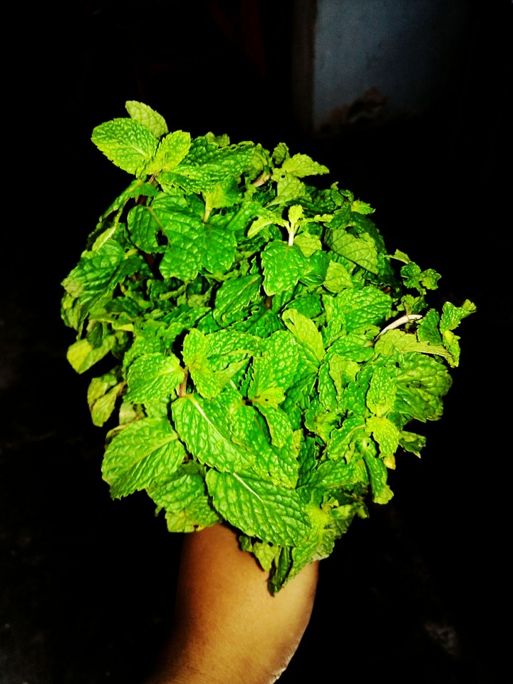 mint