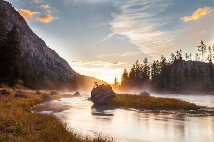 Nature