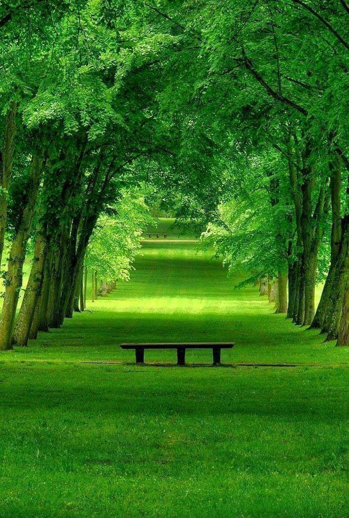 nature