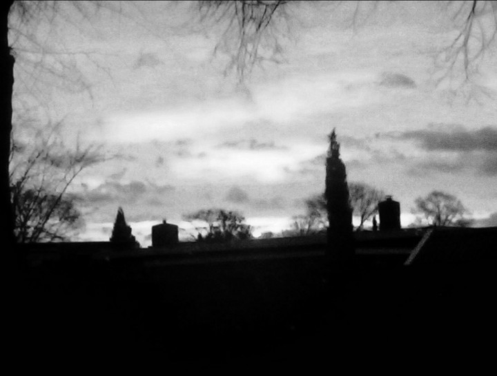 roofs