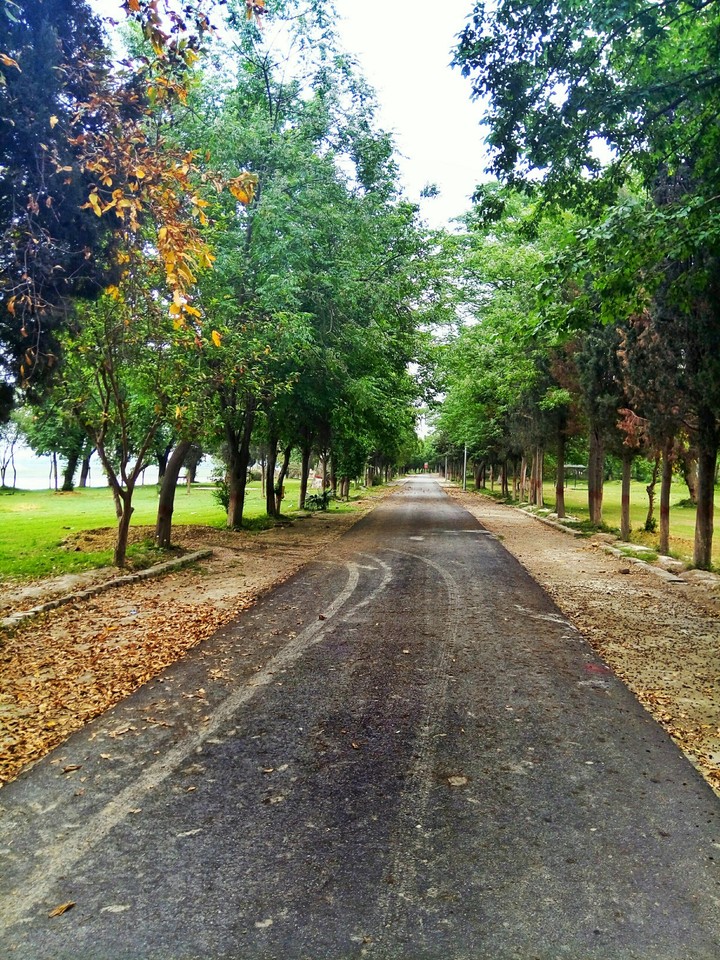 A walk to remember :')