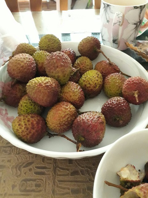 litchi 荔枝