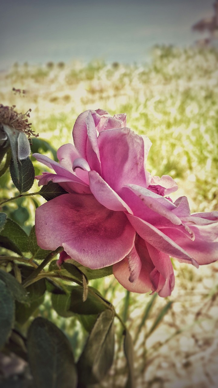 my first pic ☺