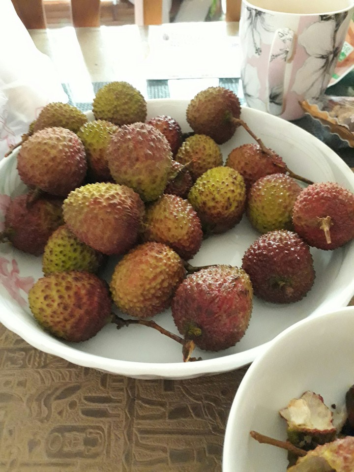 litchi 荔枝