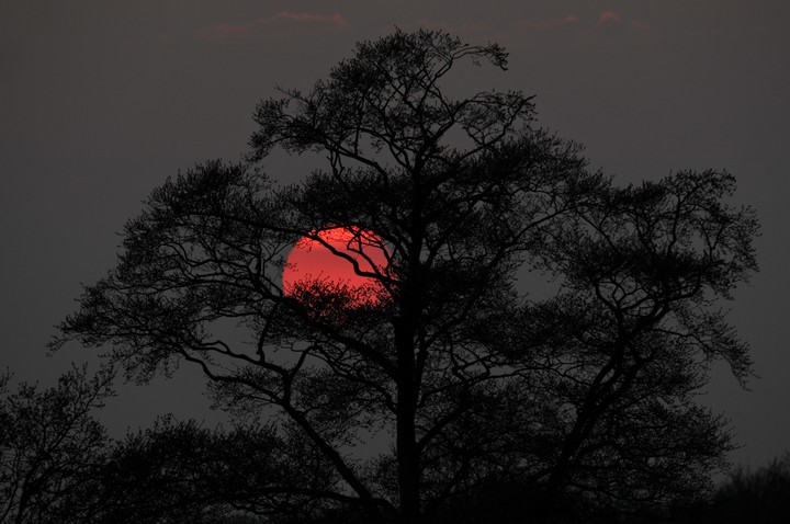 sol