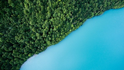 forest and water