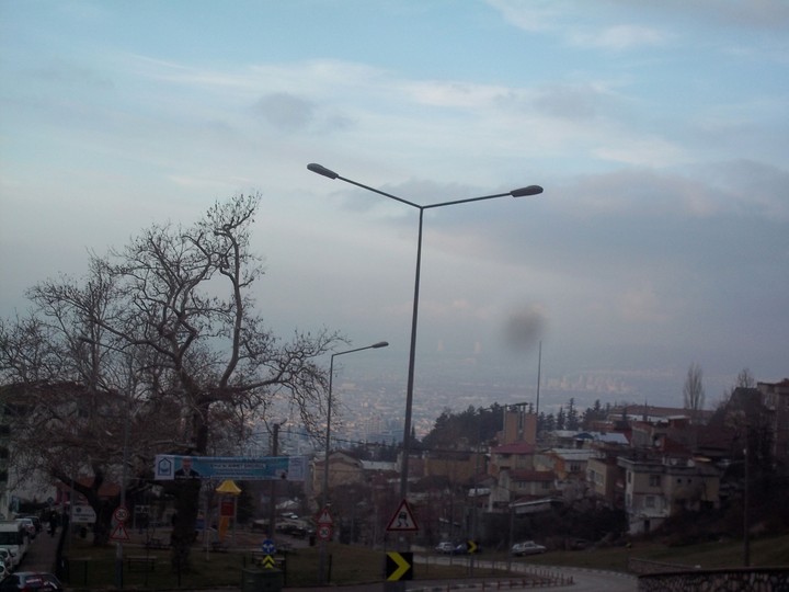 Bursa