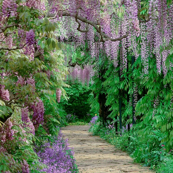 Spring Time