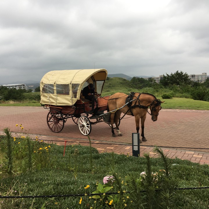 Carriage