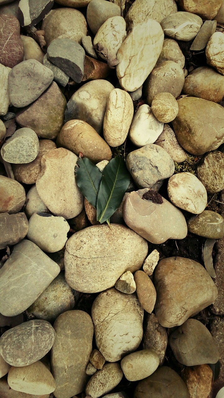 Natural love....