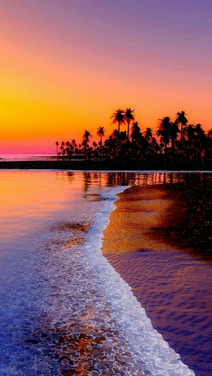 Paradise
