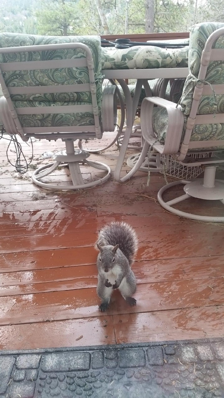 Looks like a little friend came to join