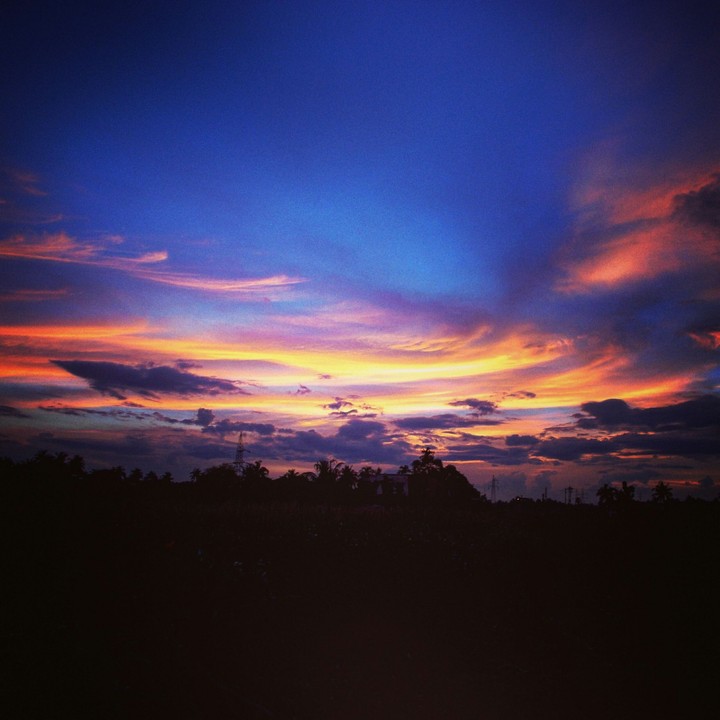 Nature's Beauty......