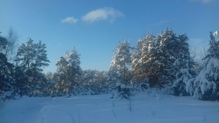 Winter