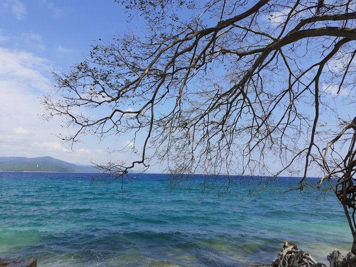shades of ocean
