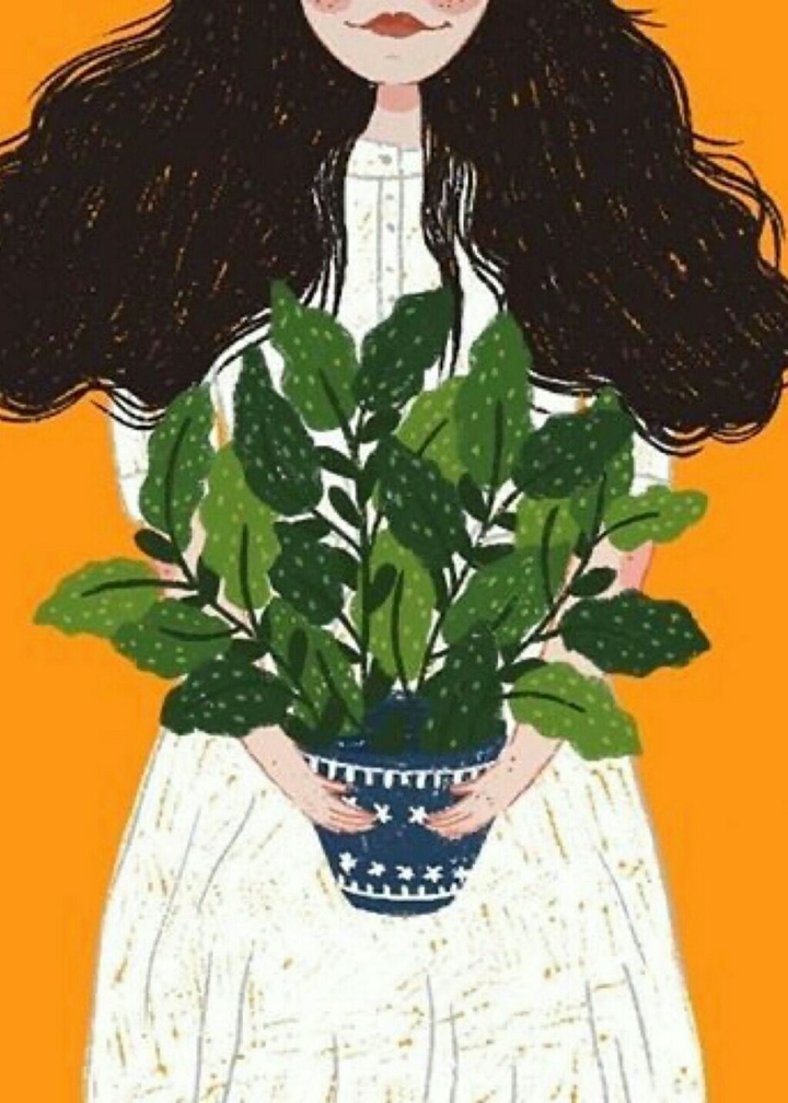 Plant