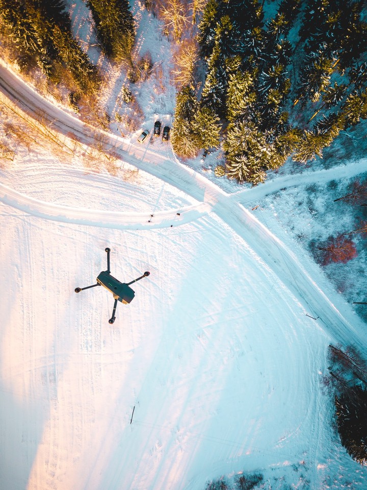 Birds view